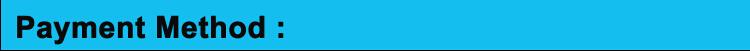 2017 New styles Golden 445nm blue laser pointer 3000mw burn match cigars cutting paper With DHL free Shipping