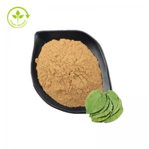 China Best Price Sagittatum Horny Goat Weed Extract Powder 10% 60% 98% Icariin Epimedium Extract wholesale