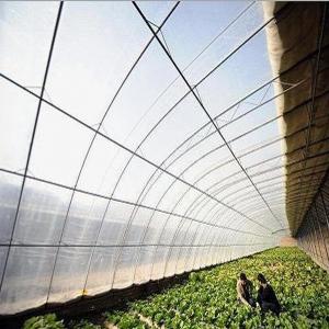 China ETFE film,ETFE Agriculture film ,ETFE greenhouse film wholesale