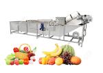 Fruit Washing Machine Manufacturers Fruit Washing Machine Australia