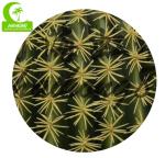 All Season Lifelike 90cm Artificial Succulent Plant Round Shape