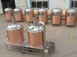 Rose Gold SS304 / 316 500L Small Brewery Equipment 50 / 60 Hz Frequency