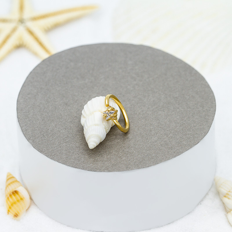 Indian Gold Star Shaped Nose Ring Design Women Nose Piercing 18G 8mm