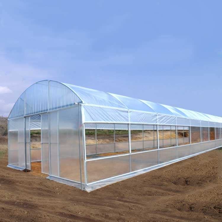 Modern Farming Single-span Plastic PE Film Poly Tunnel Tomato Greenhouse