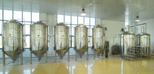China CG-500L commercial beer brewing equipment for sale wholesale