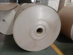 White/Brown Wood Pulp PE Coated Kraft Paper Single/Double Side Heat Resistant up