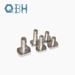 Qbh SS304 Non-Standard Tee T Head Bolt