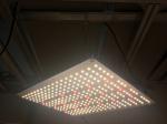 100W IP67 Led Grow Boards For Indoor Garden