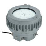20-200W Explosion Proof Flood Light Fixtures 2200k-7000k S Series For Oil And