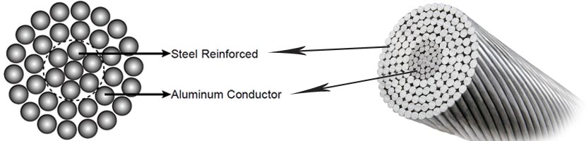ACSR Conductor