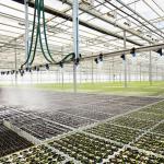 Irrigation Drip Greenhouse Irrigation System Pipe For Agriculture Trigger