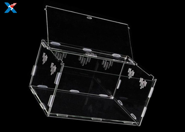 Professional Acrylic Reptile Box , Pet Plexiglass Storage Box ROHS Certified