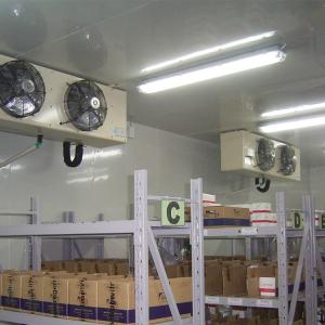 China Vegetable Cold Storage Blast Cold Room Preservation Frozen 800ton 1000 KG Weight wholesale