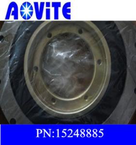 China TR45 haul truck Vibration Damper 15248885 wholesale