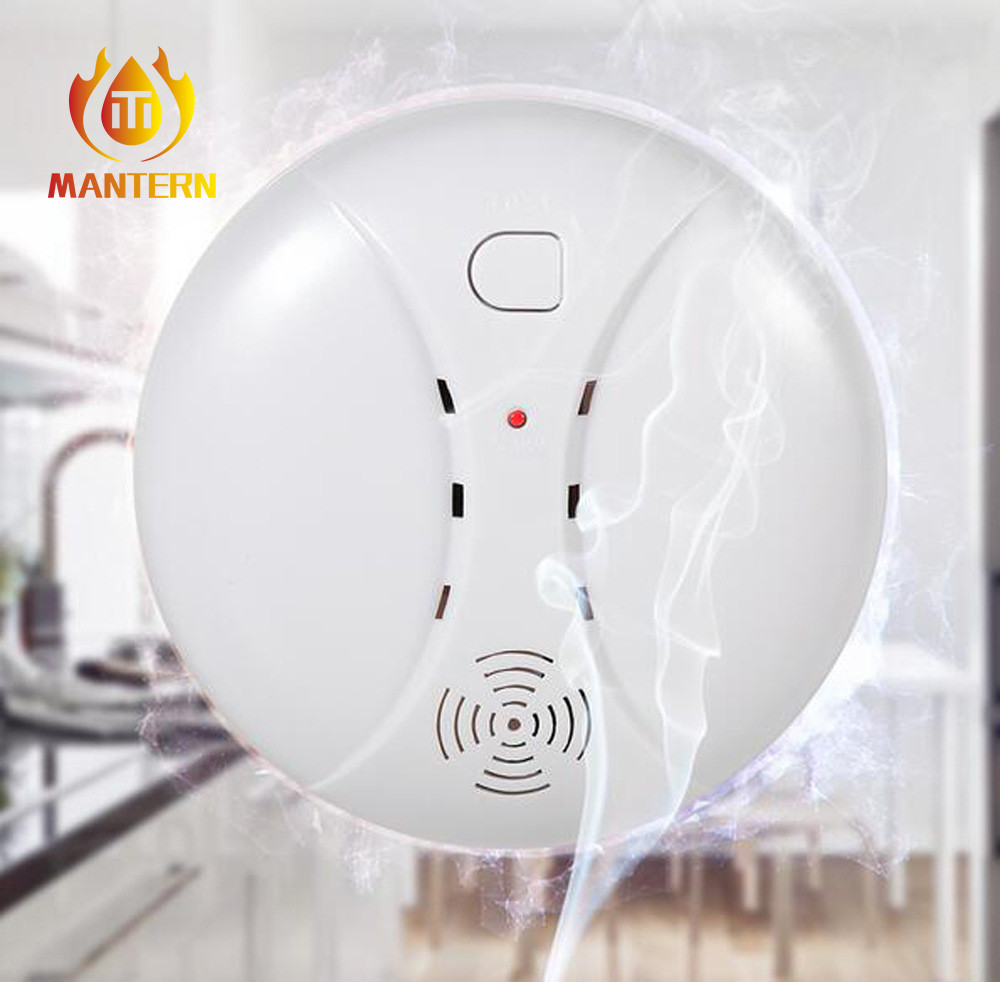 DC 9V CO Alarm Gas Detector For Home , Portable Gas Detector High Accuracy