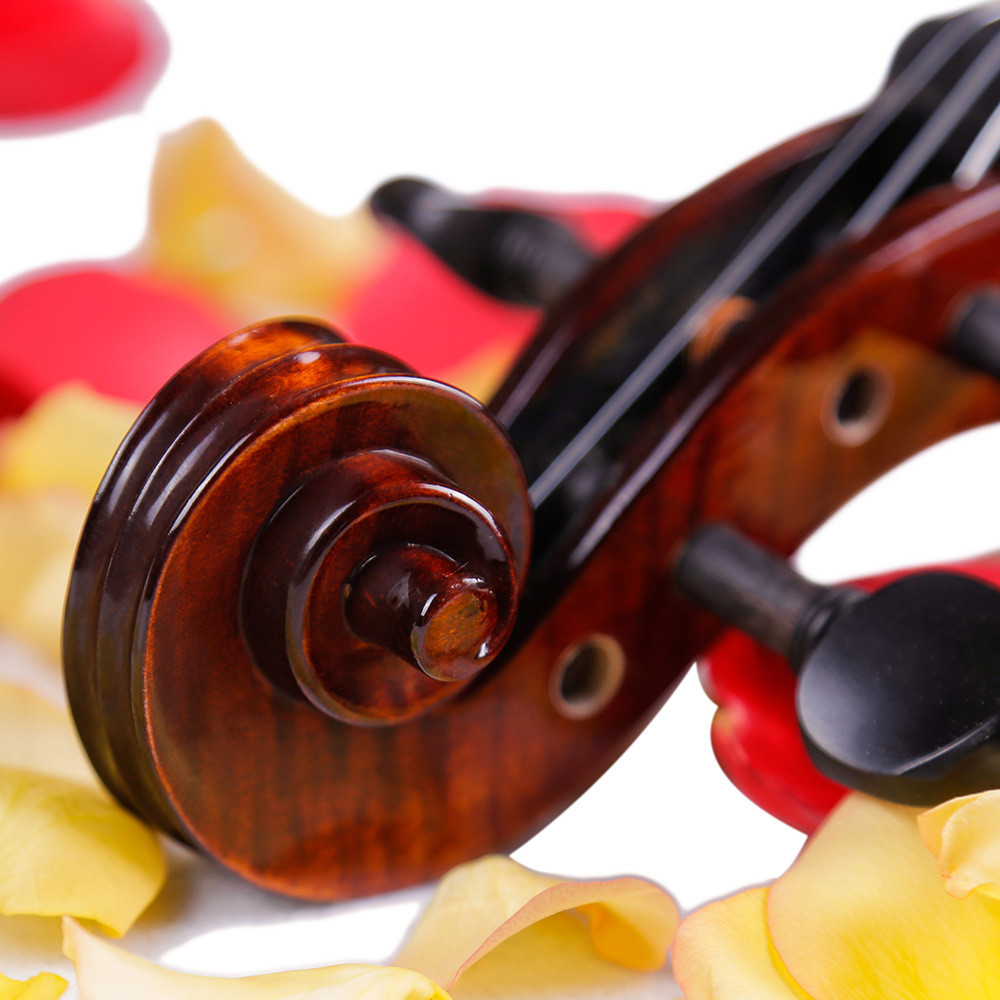 Bullfighter Full Size Violin Handmade for Beginner Wholesale made in China student violins exported to Canada and Americ