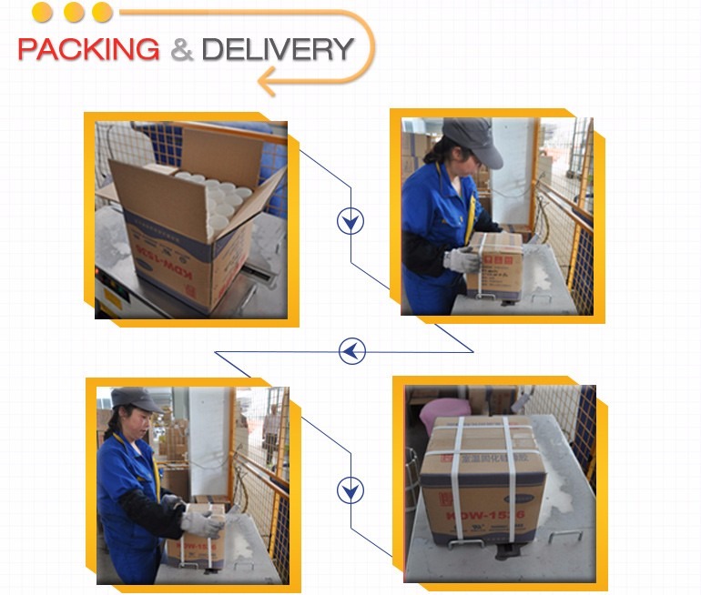 Junction Box Using Rtv Potting Compound Silicone Adhesive Encapsulant
