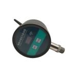 Digital Pressure Gauges