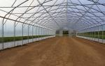 0.12mm-0.8mm UV Resistant Plastic Sheeting Greenhouse Anti Drip