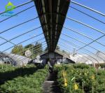 Commercial Backyard Light Dep Greenhouse Plastic Film Hot Galvanized Steel