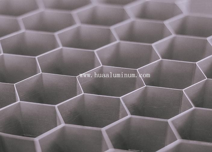 Anti Static Honeycomb Structural Lightweight Aluminum Panels Anodized Surface