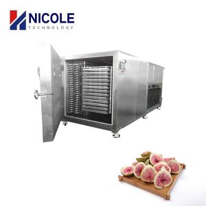 China Industrial Vacuum Pharmaceutical Fruit Freeze Dryer Machine For Food Flower wholesale