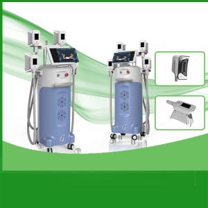 China Leadbeauty 12 inch LCD screen cryolipolysis body slimming machine wholesale