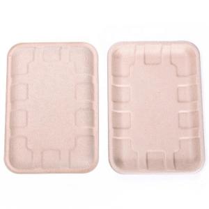 China Biodegradable Bagasse Sugarcane Food Tray Fruits Vegetables Disposable Party Tray wholesale