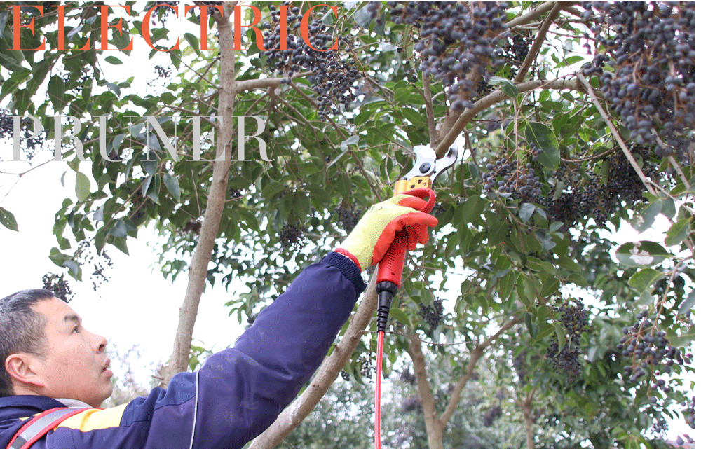 Swansoft 4.0CM Electric Pruner Lemon Tree Branches Cutting Electric Pruning Shears