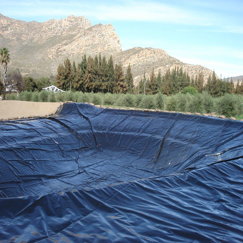 Sample Provided HDPE Geomembrane for Lake Tank Dam Lining Swim Pool Fish Pond Farm