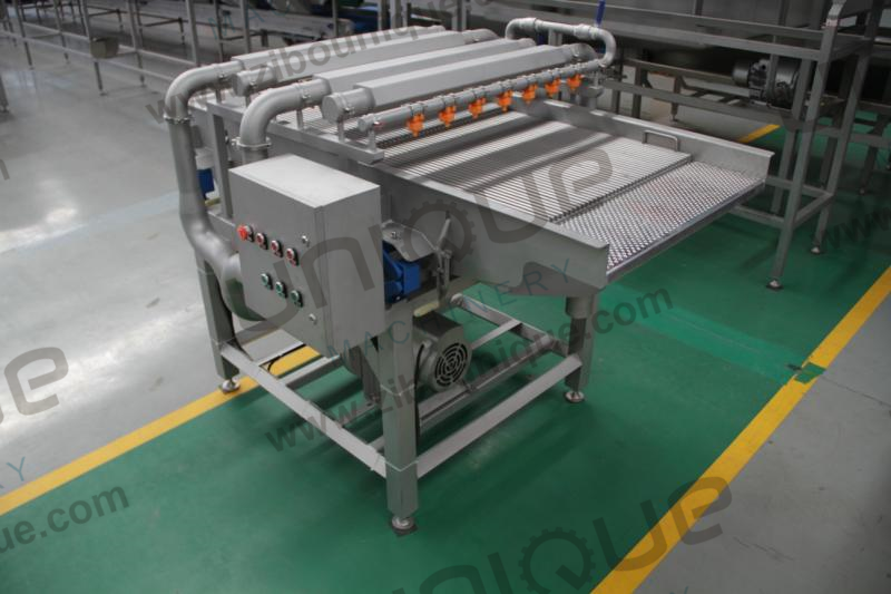 Revolutionize Your Palm Syrup Production with Our Dates Cleaning and Washing Machine