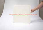White Powder Coat Plastic Access Panel PVC Inspection Trapdoor