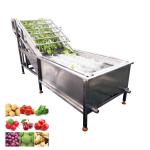 Multifunctional Ginger Washing Double Bubble Water Spinach Industrial Fruit