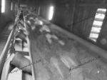 Fire And Flame Resistant Conveyor Belt