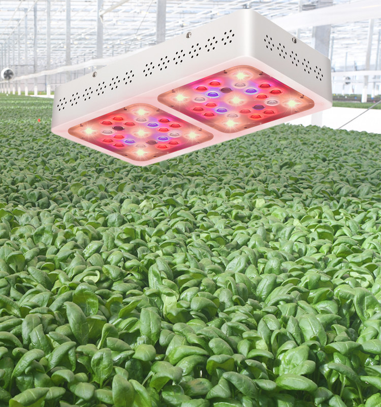 Double Switches SMD3030 C200 200W COB LED Grow Panel 260μmol/s
