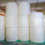 Degradable Napkins Paper Green And Environmentally Friendly Tissue Paper