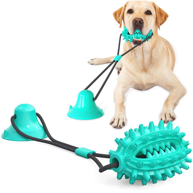 Teeth Cleaning TPR Dog Toothbrush Toys With Elastic Interactive Toys Pet Products