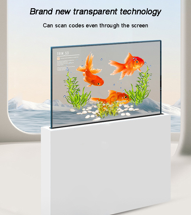 Museums 55 Inch Transparent OLED Customizable Translucent OLED