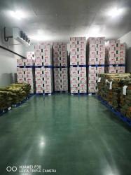 Tianjin LP Pet Food Ingredients Co.,Ltd
