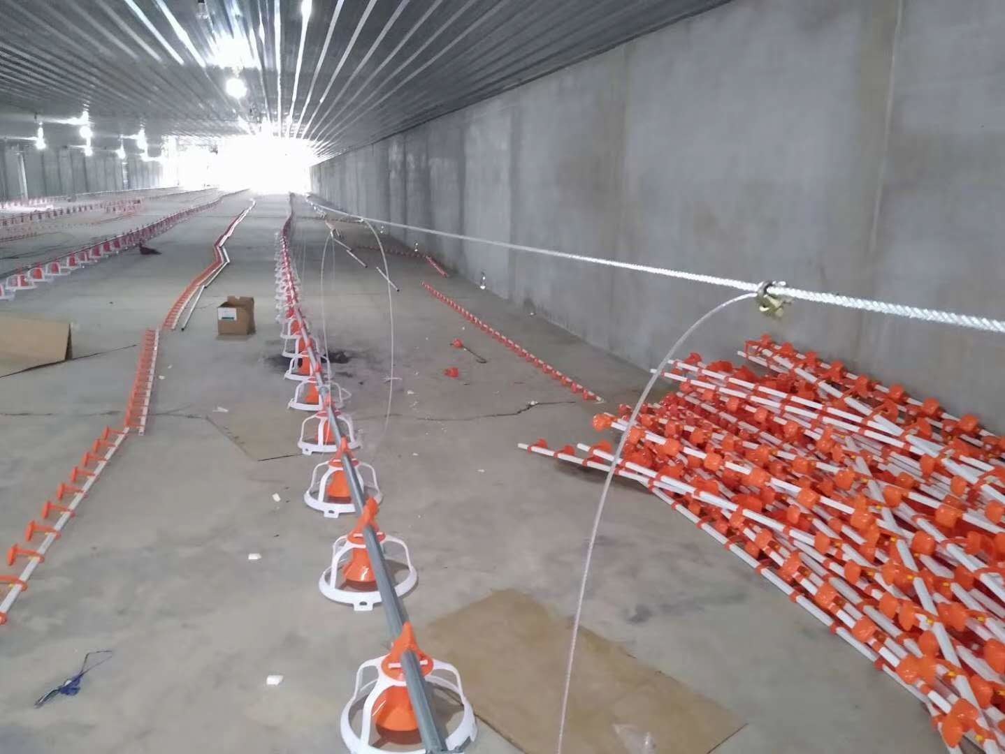 Automatic Duck Steel 12mm Poultry Farm House