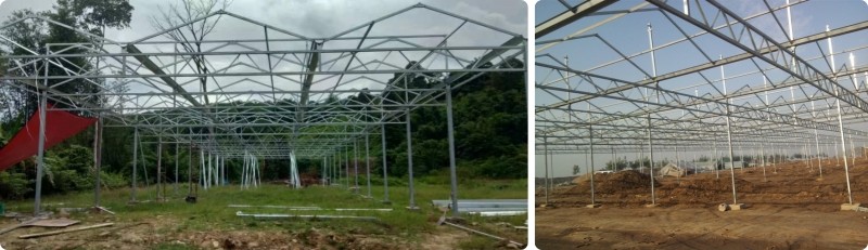 Agricultural Super Strong Resistance Vegetable Fruits Flowers Polycarbonate Sheet Greenhouses