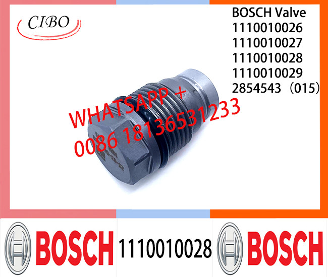 Pressure relief valve 1110010026 1110010027 1110010028 1110010029 2854543（015）1110010009 1110010010 1110010011