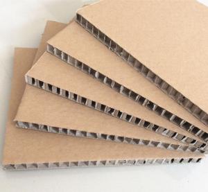 China honeycomb cardboard sheet PP Plastic Corrugated Honeycomb Cardboard Sheet wholesale