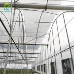 Commercial Poly Tunnel Agricultural Multi-span Plastic Film Greenhouse