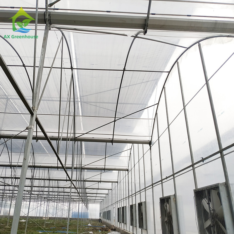 8x30m Tomato Poly Tunnel Greenhouse 150-200micron Plastic Film Tomato Greenhouses