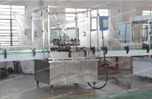 China 500ml Bottle Rinsing Machine wholesale