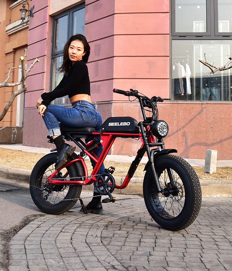 Electric Bicycle GOMID 750W 48V 20 Inch E Bike Mountain Fat Tire Ebike With High Power Motor