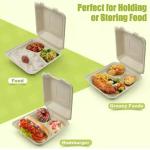 Biodegradable Sugarcane Bagasse Clamshell 10 Inch 3 Compartment Food Container