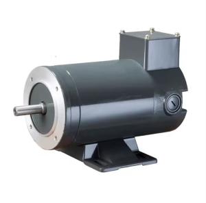 China China High Quality TEFC 90V 1/2hp High Speed High Torque Nema 48C Brushless DC Electric Motor wholesale