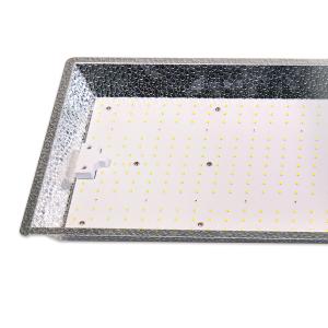 China IP65 300w 5700k Plant Growing LED Lights wholesale